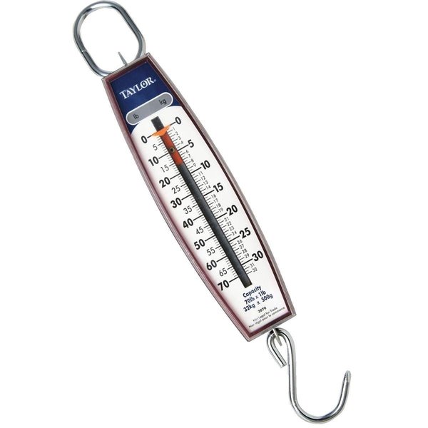 Taylor Mechanical Hanging Scales 3070